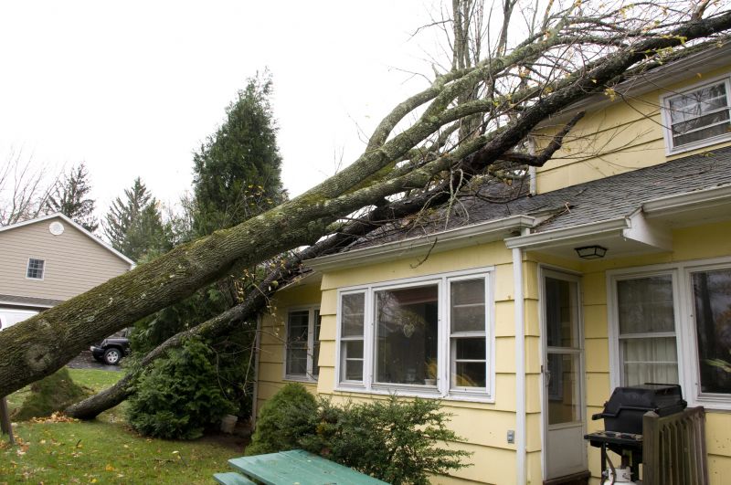 Tree on Roof After Storm
