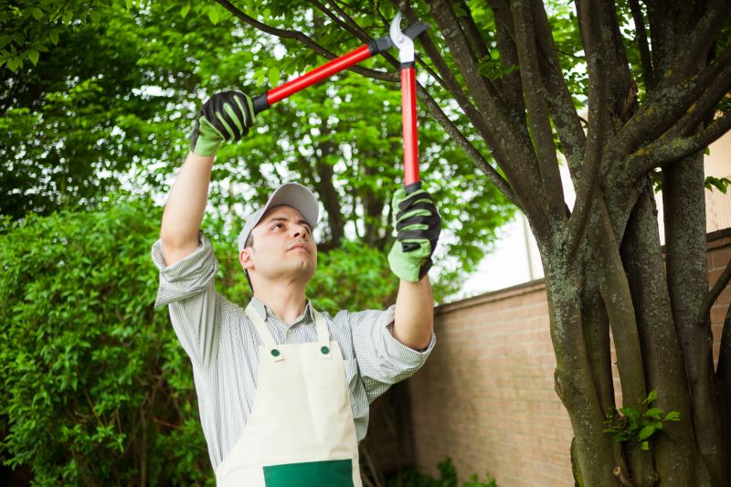 Overgrown Tree Pruning